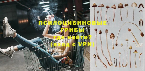 стаф Покров