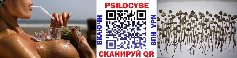 Галлюциногенные грибы Psilocybe ссылка на мегу зеркало Уржум